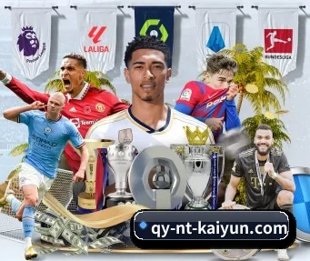 开云体育 APP(kaiyun)